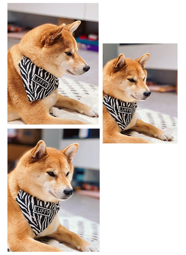 Dog Bib Triangle Scarf