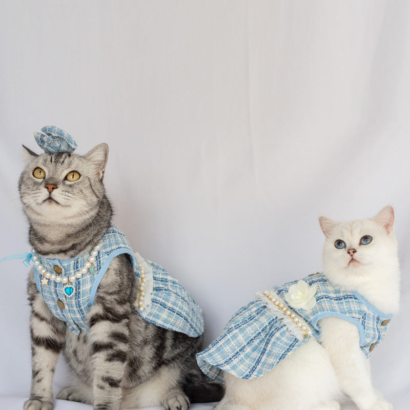 Cat Fashion Bow and Cute Dress