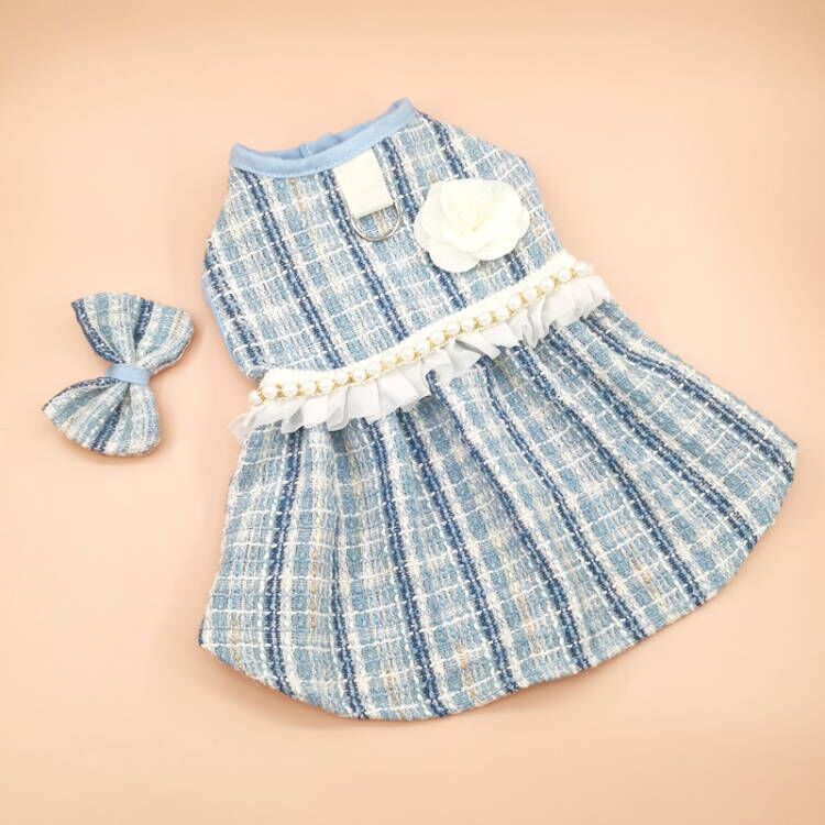 Cat Fashion Bow and Cute Dress
