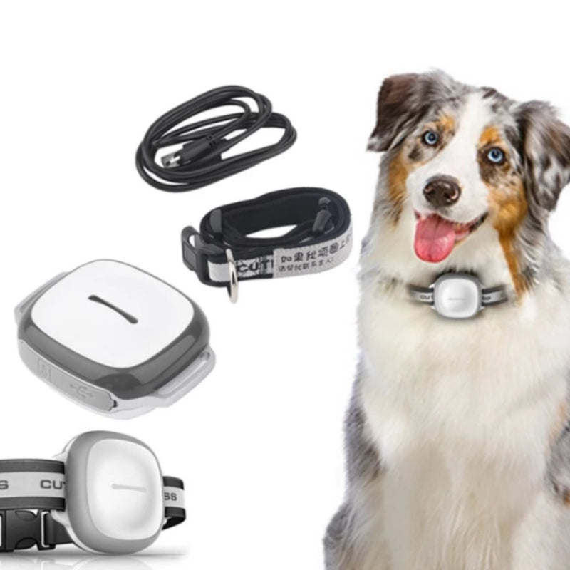 Collared Cat or Dog Tracker Pet Locator