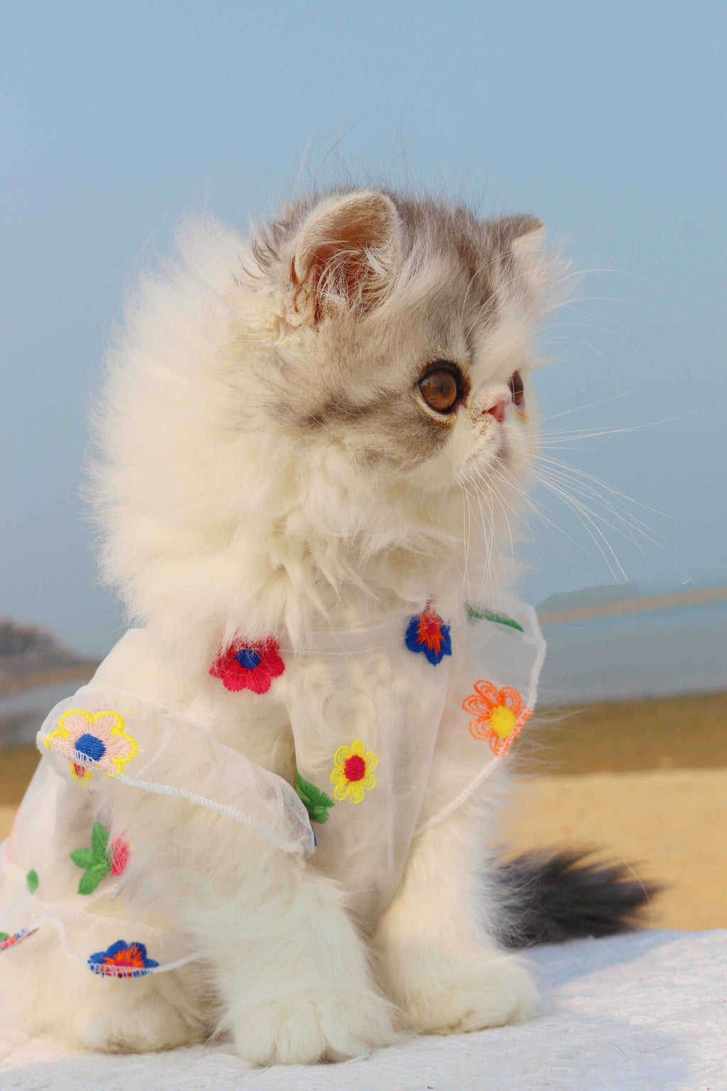 Mesh Flower Embroidery Dress for Cat or Dogs