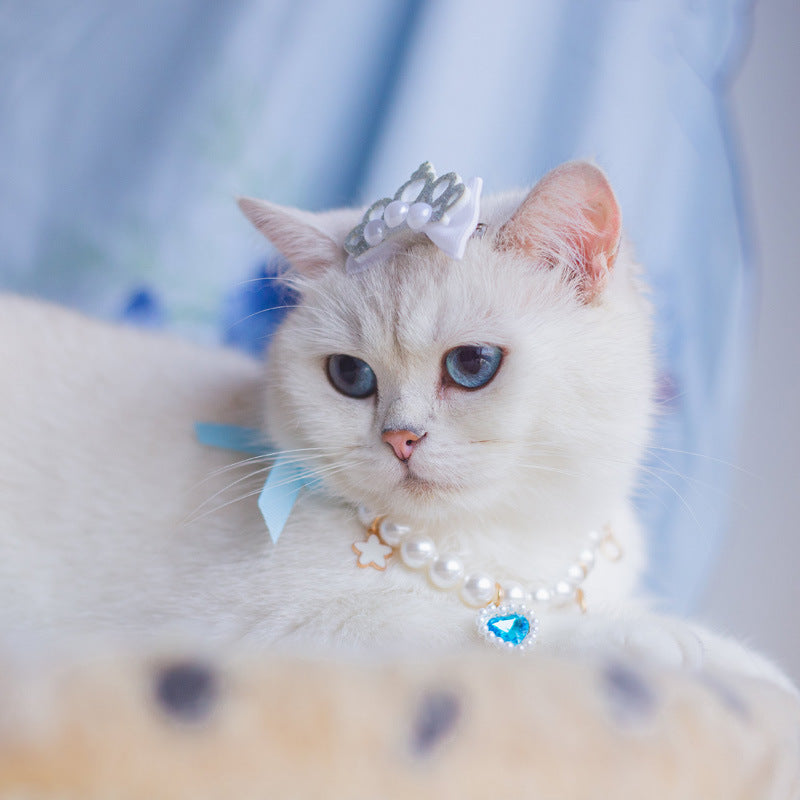 Cat Fashion Bow and Cute Dress