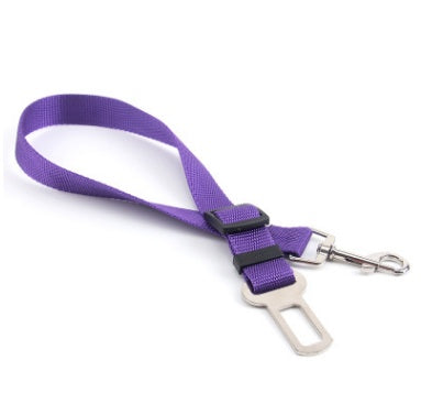 Polyester Fixed Strap for Vehicle