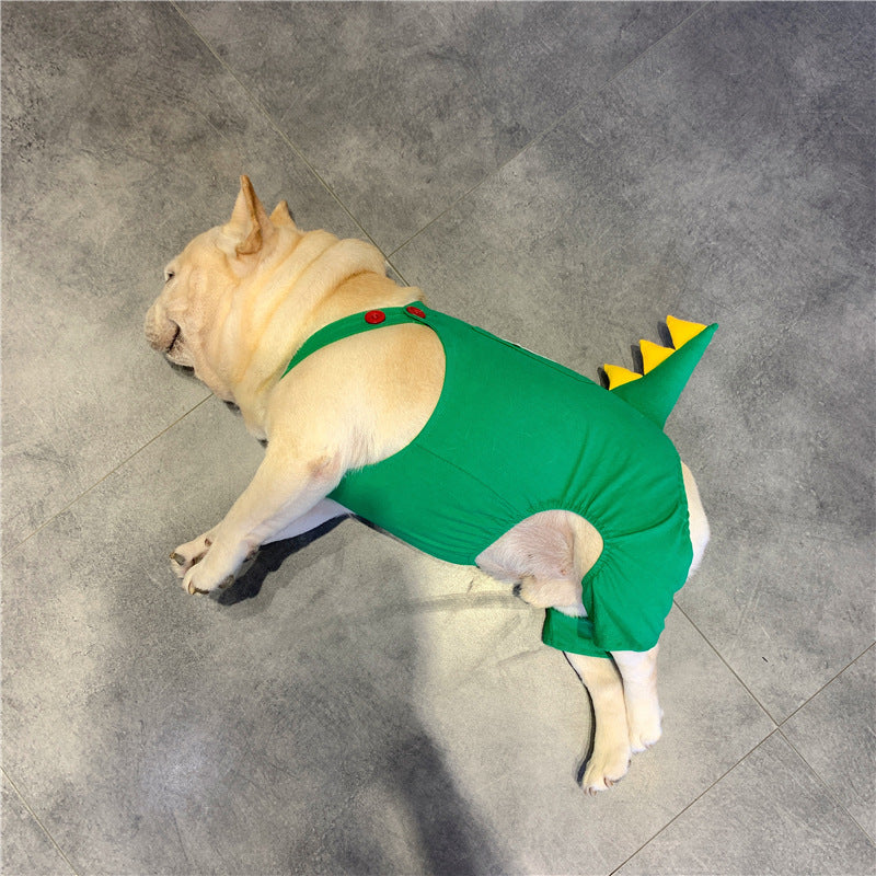 Pet Dinosaur Clothes