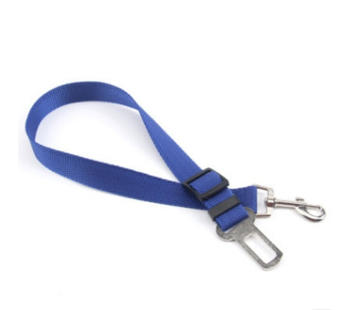 Polyester Fixed Strap for Vehicle