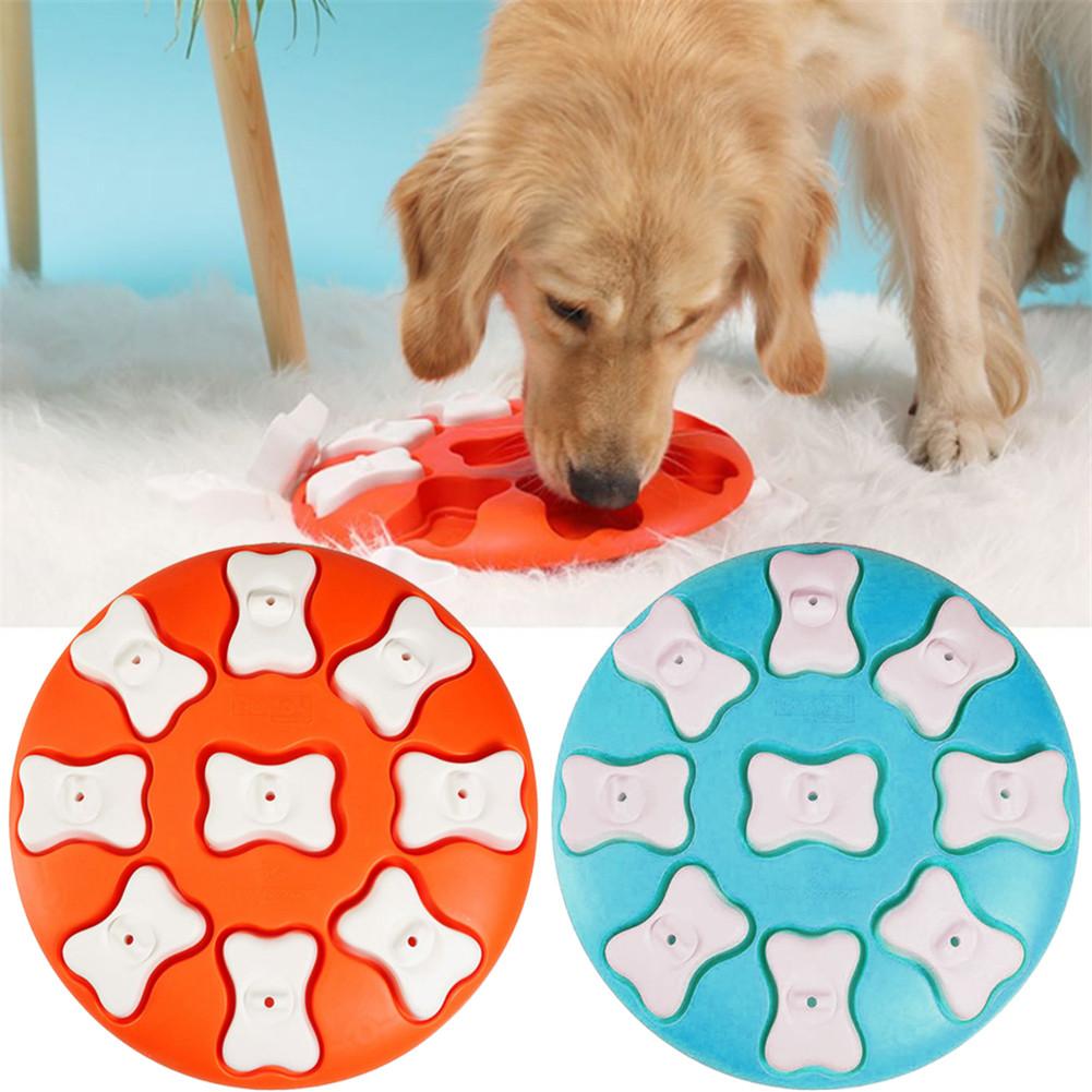 Dog Puzzle Toys raining