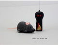 Cat Toy Remote