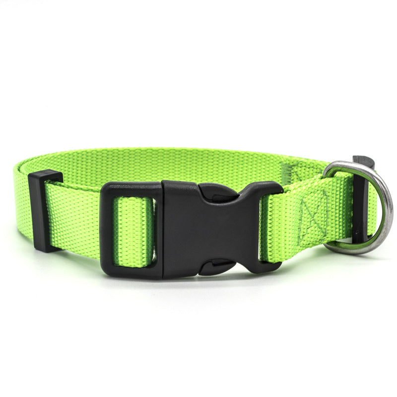 New Nylon Dog Collar