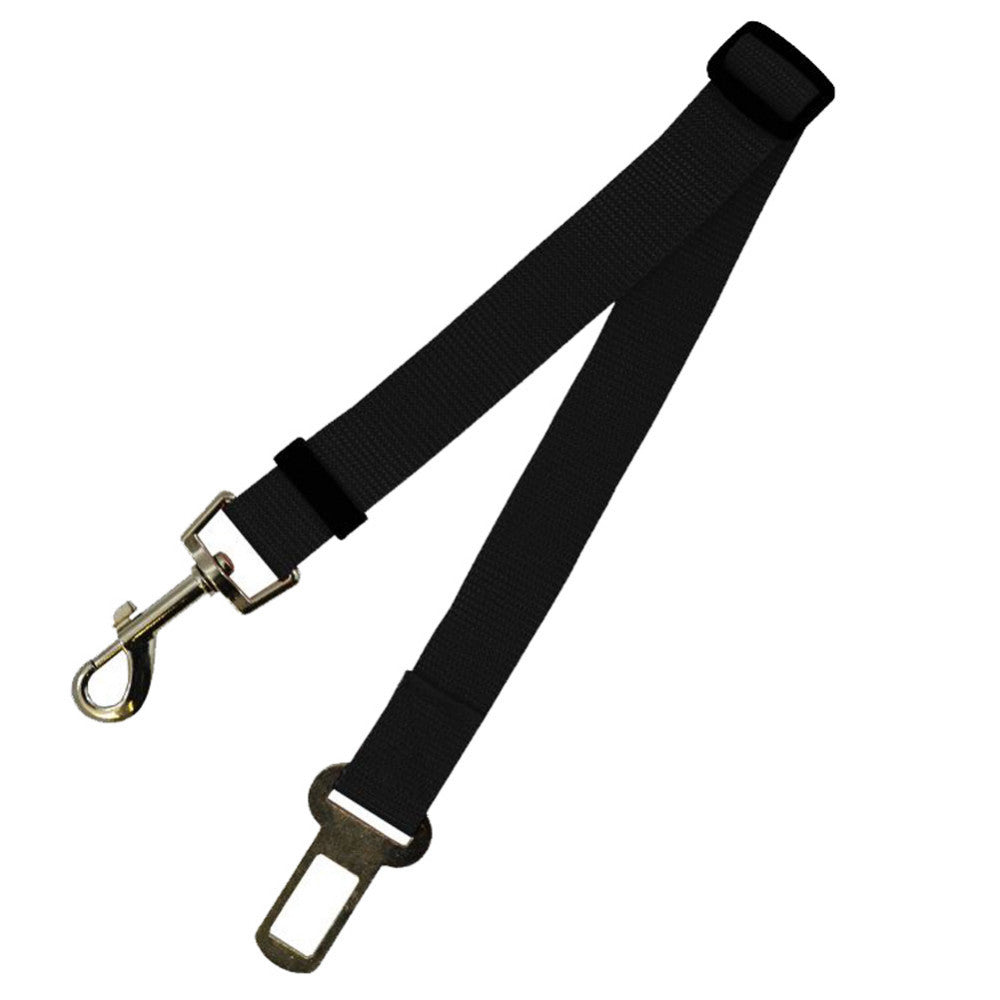 Polyester Fixed Strap for Vehicle