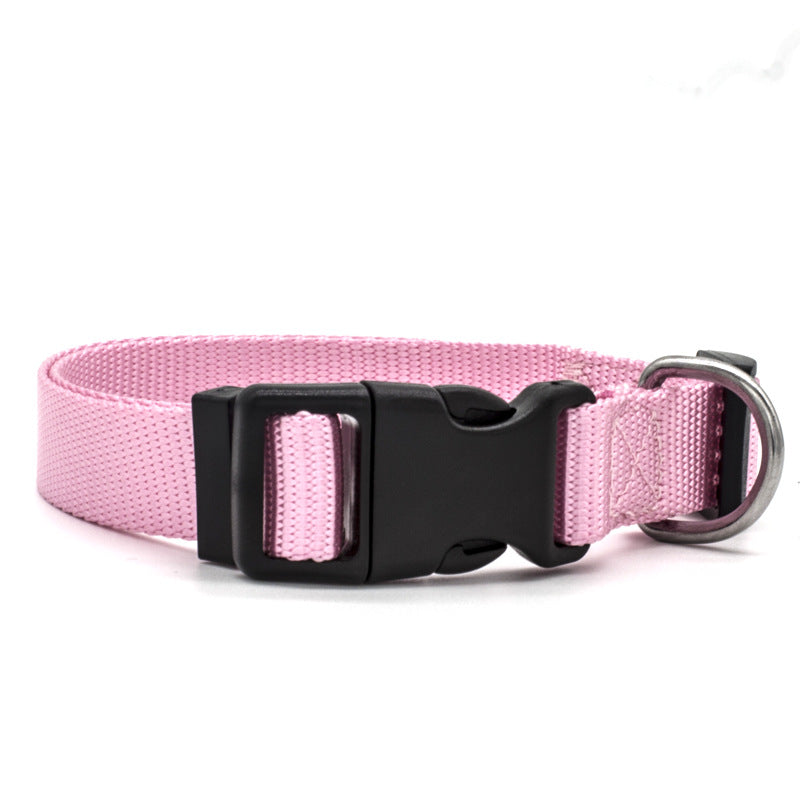 New Nylon Dog Collar