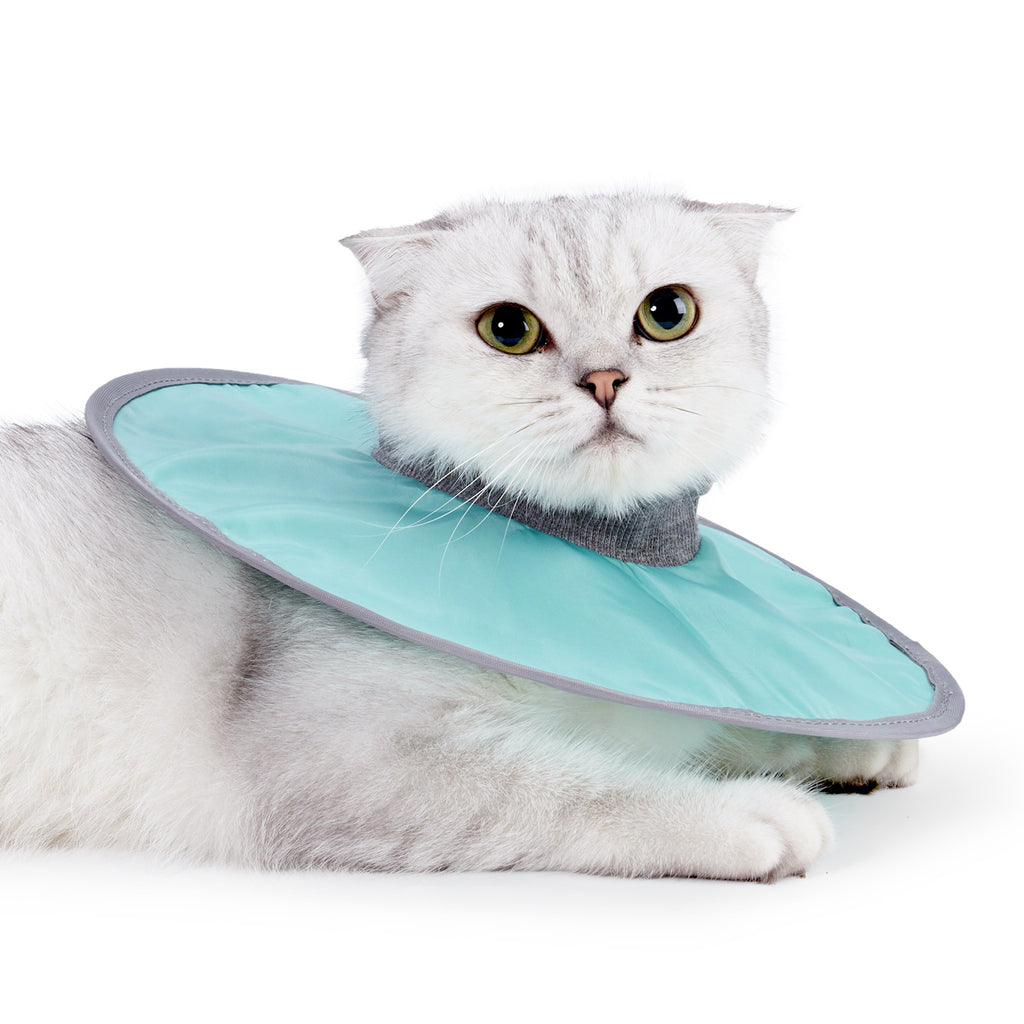 Cloth Circle Collar for Cats