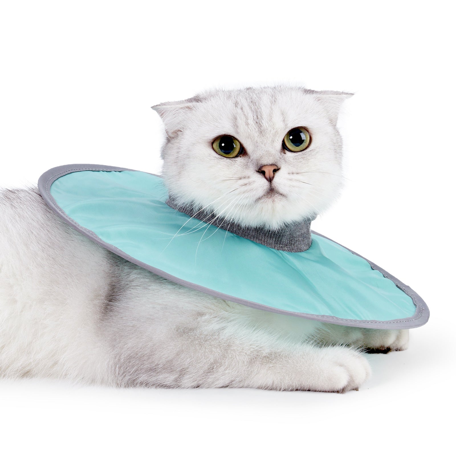 Cloth Circle Collar for Cats