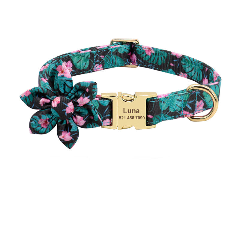 dog collar