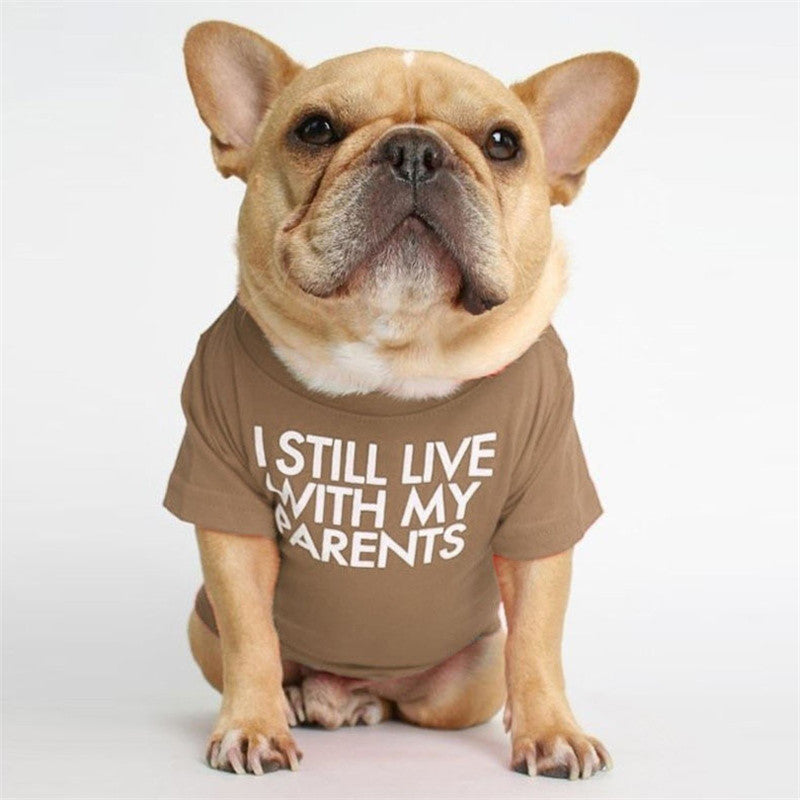 Fadou Turtleneck Crew Neck T-shirt Bichon