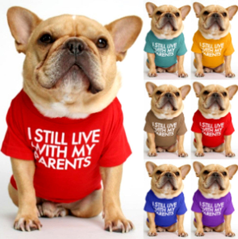 Fadou Turtleneck Crew Neck T-shirt Bichon