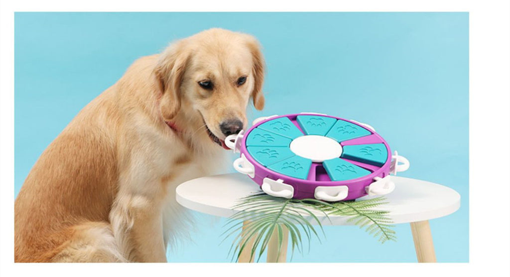 Dog Puzzle Toys raining