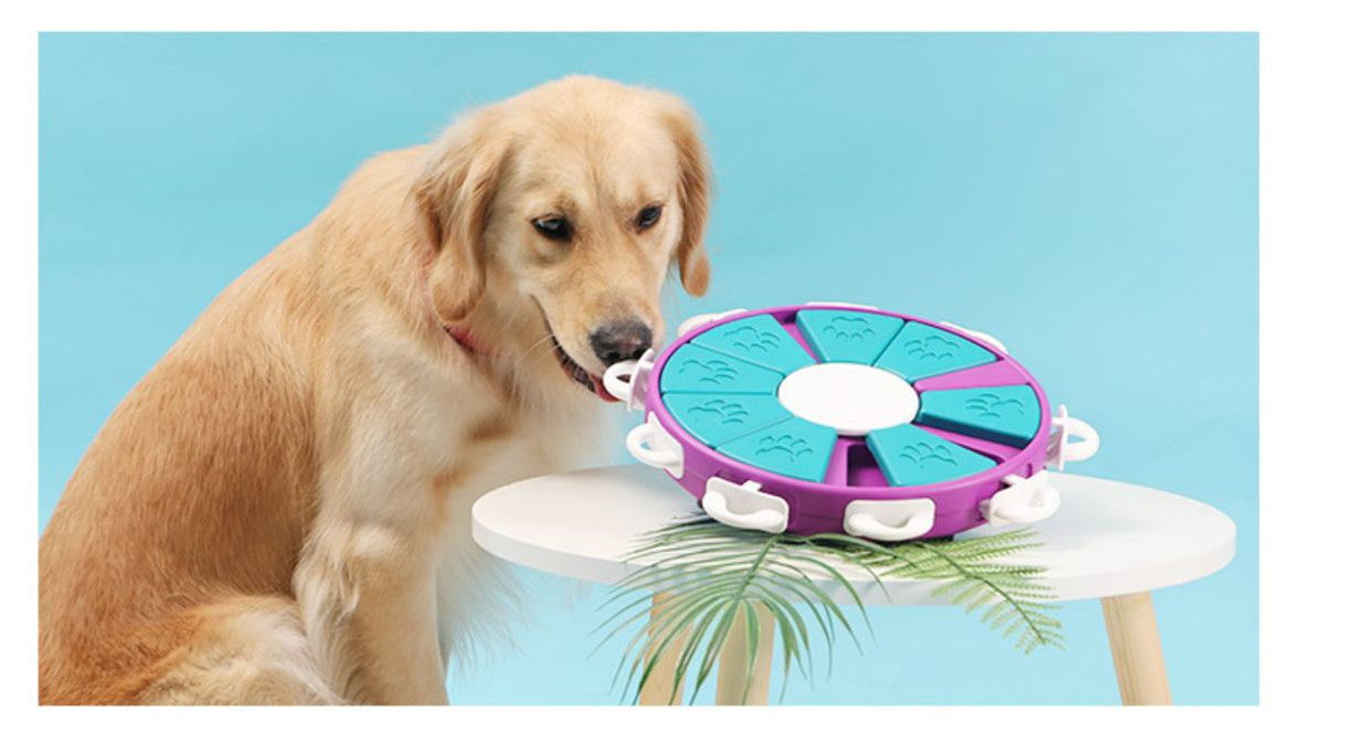 Dog Puzzle Toys raining