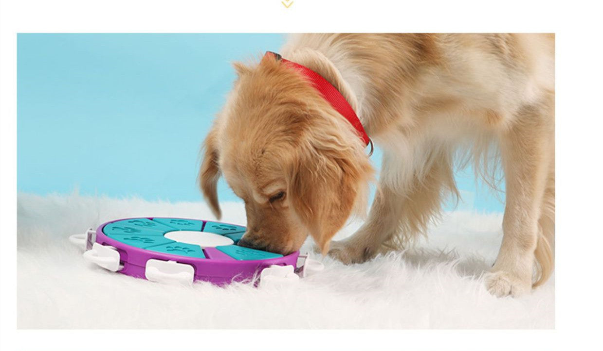 Dog Puzzle Toys raining