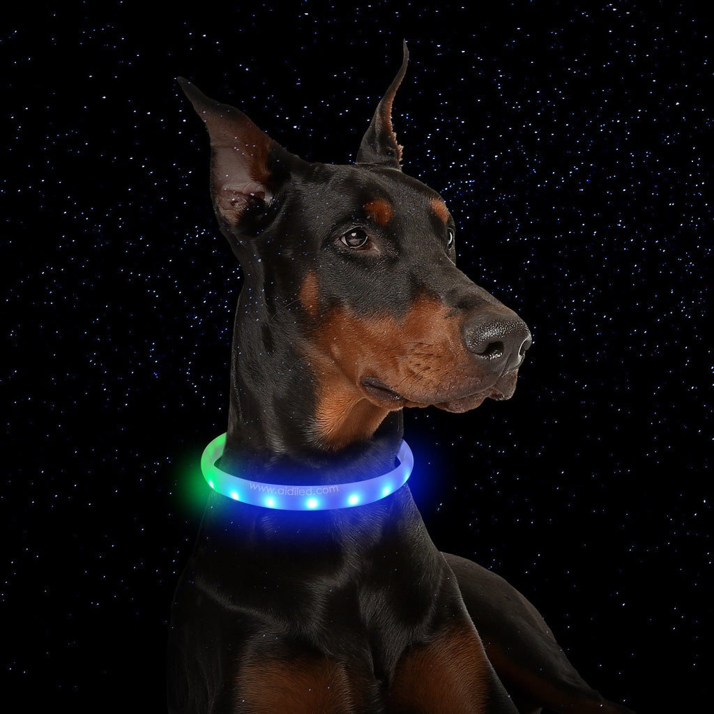 Flash Collar For Dogs USB Charging Anti-Lost Silicone
