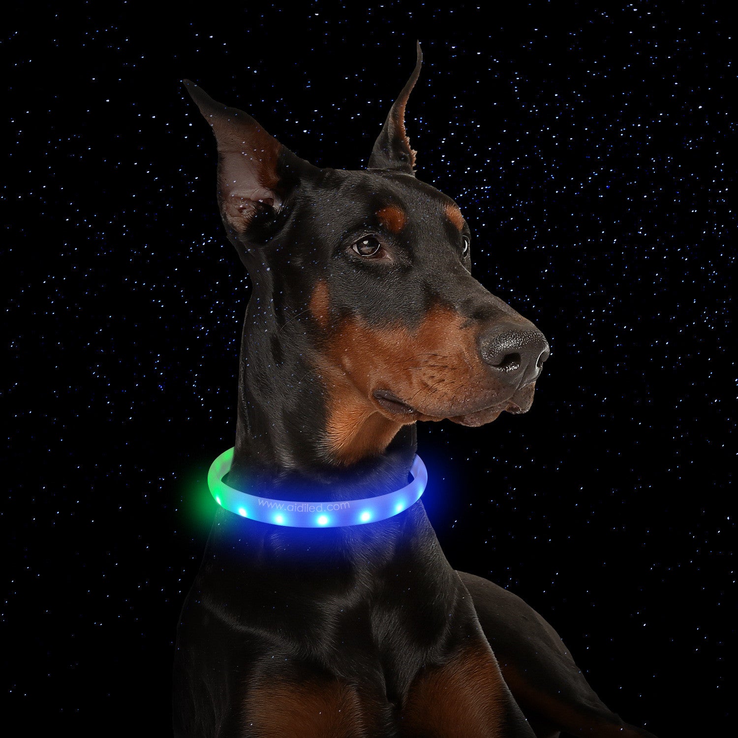 Flash Collar For Dogs USB Charging Anti-Lost Silicone