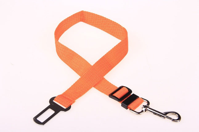 Polyester Fixed Strap for Vehicle