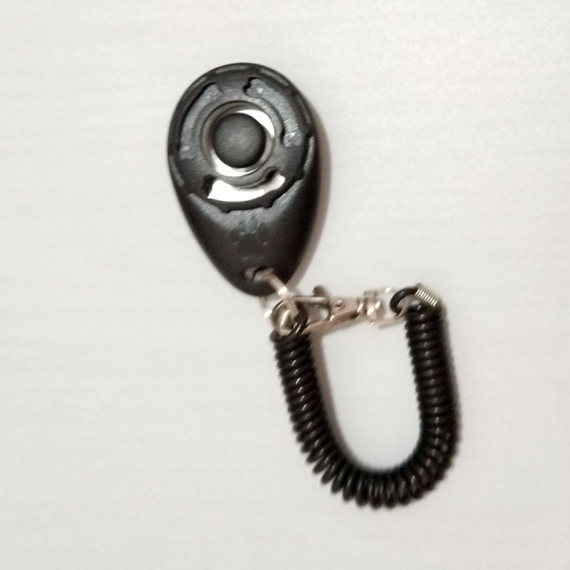 Dog training clicker