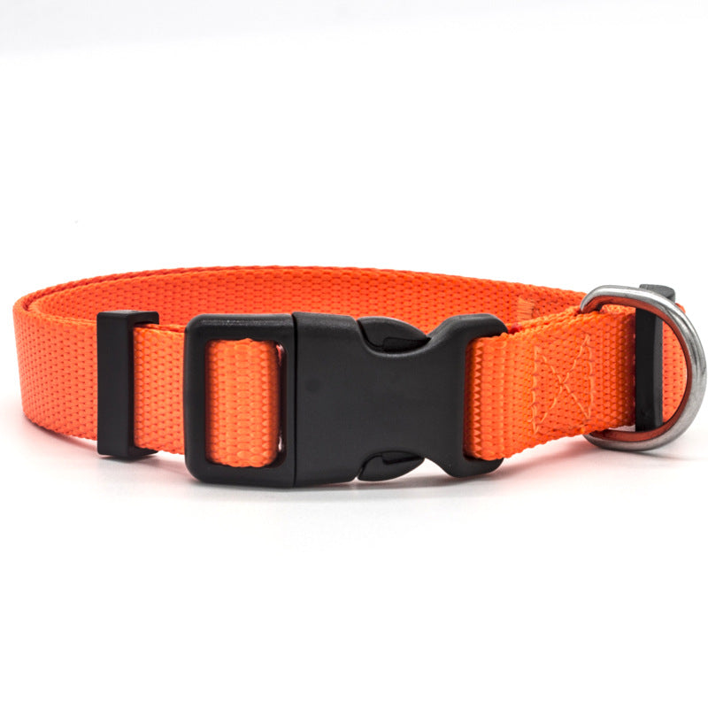 New Nylon Dog Collar
