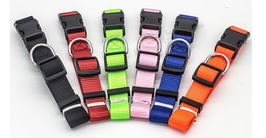 New Nylon Dog Collar