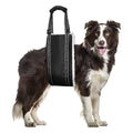Adjustable Dog Rehabilitation Training Belt