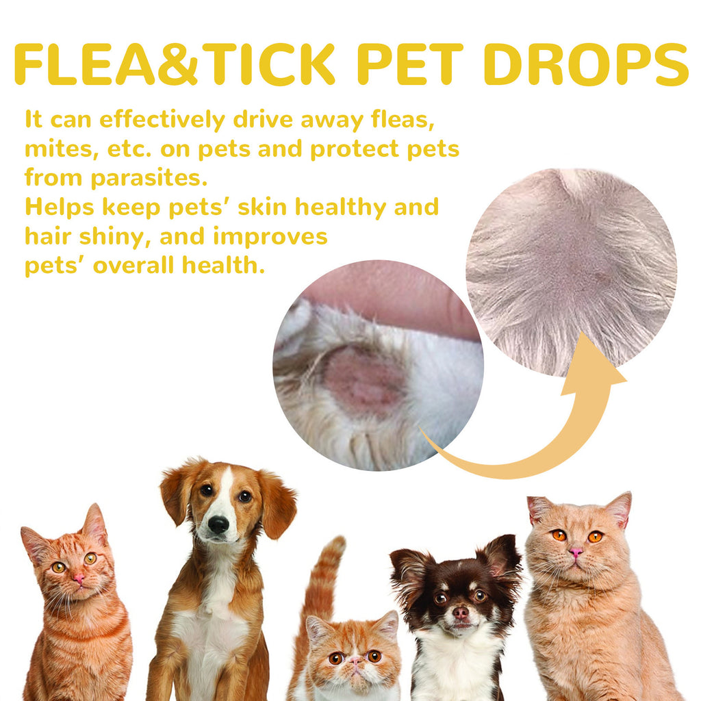 Cat And Dog External Fleas Lice Ticks Skin Care