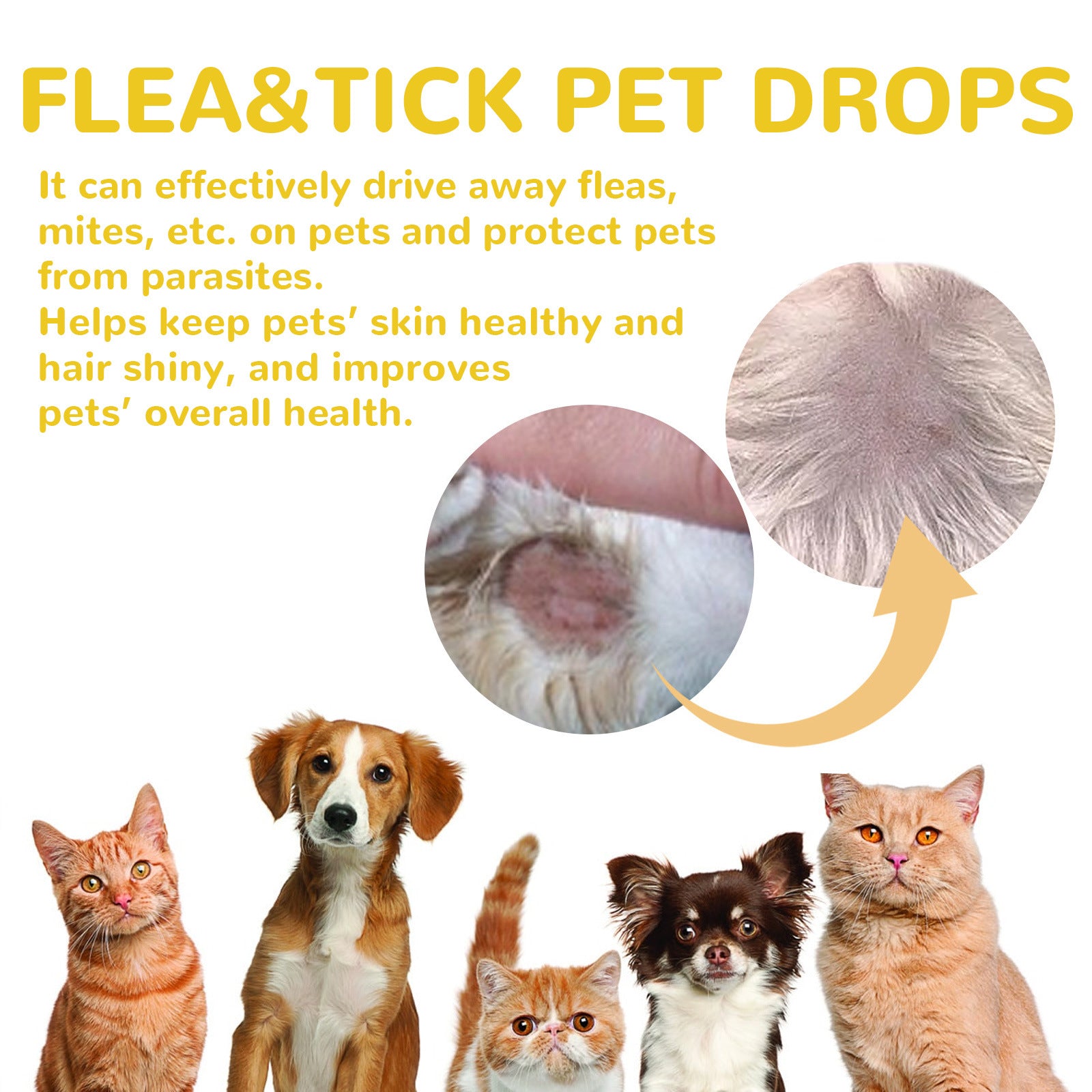 Cat And Dog External Fleas Lice Ticks Skin Care