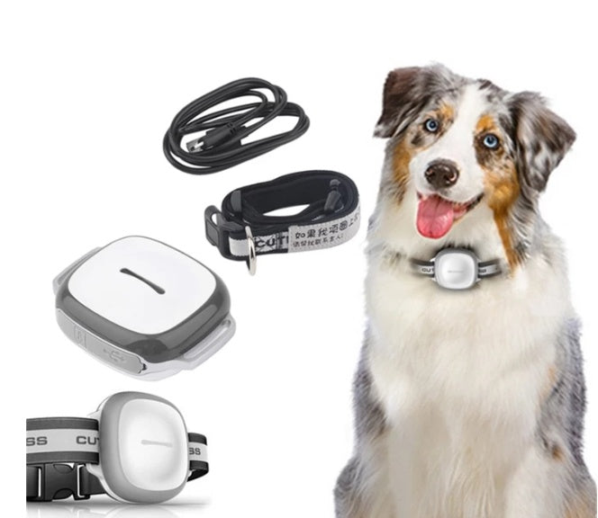 Collared Cat or Dog Tracker Pet Locator