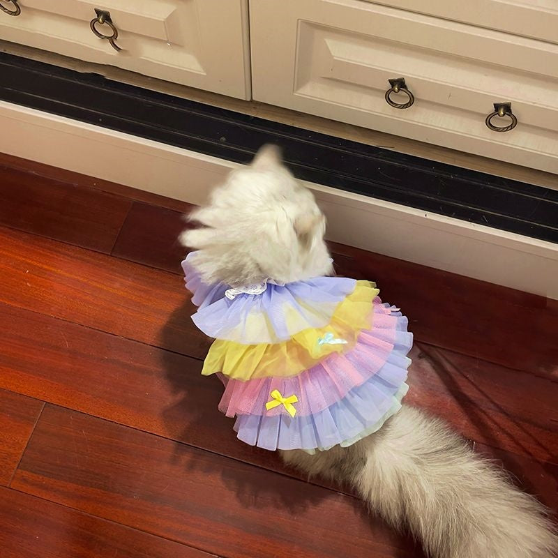 Cat or Dog Lace Mesh Dress
