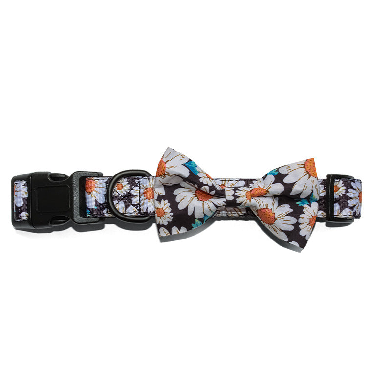 Pet Leash, Harness with Designs