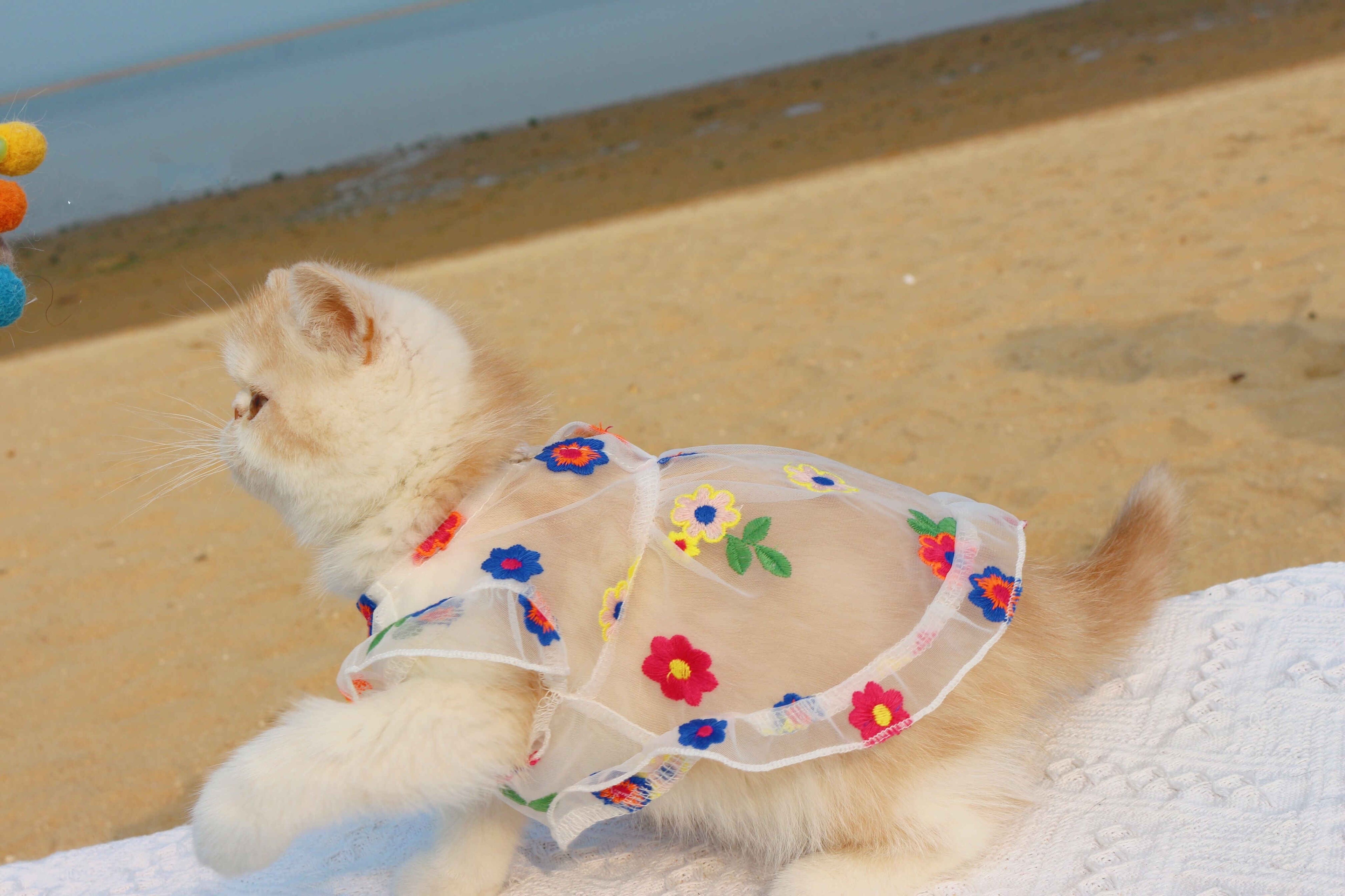 Mesh Flower Embroidery Dress for Cat or Dogs