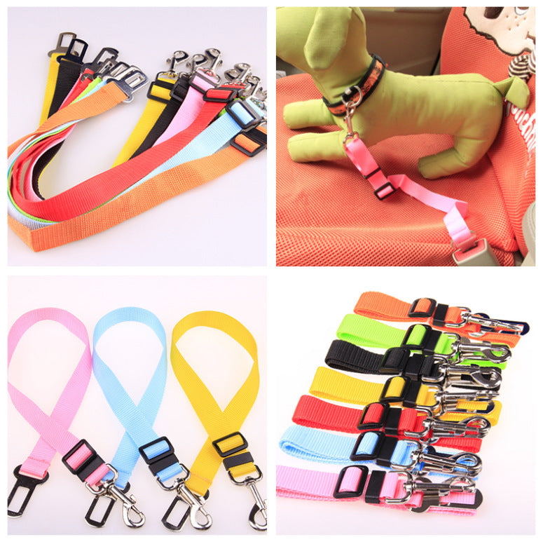 Polyester Fixed Strap for Vehicle