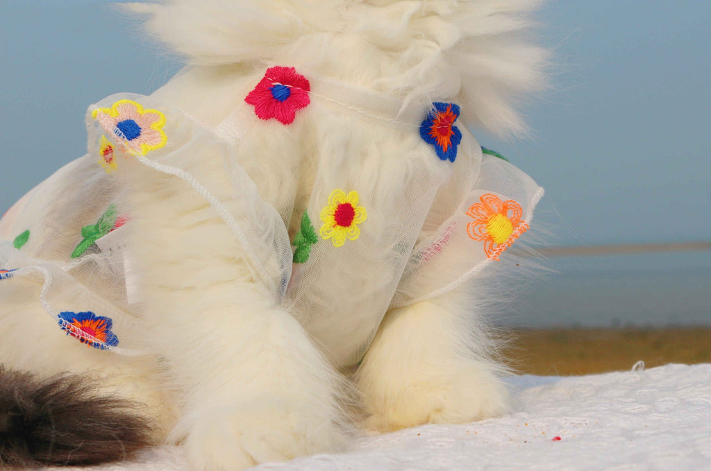 Mesh Flower Embroidery Dress for Cat or Dogs