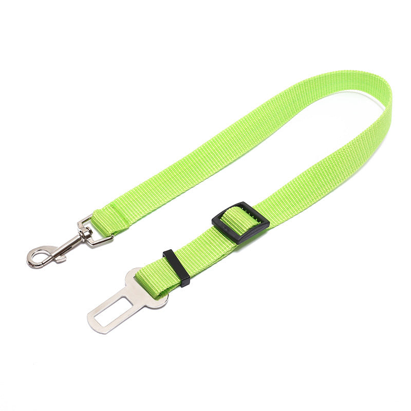 Polyester Fixed Strap for Vehicle