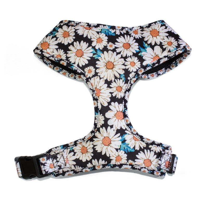 Pet Leash, Harness with Designs