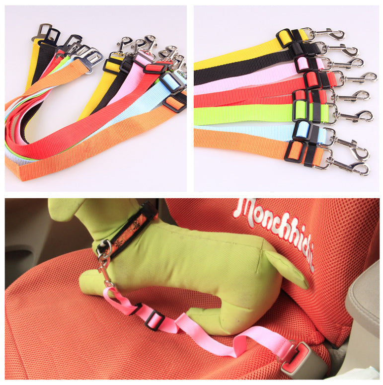 Polyester Fixed Strap for Vehicle