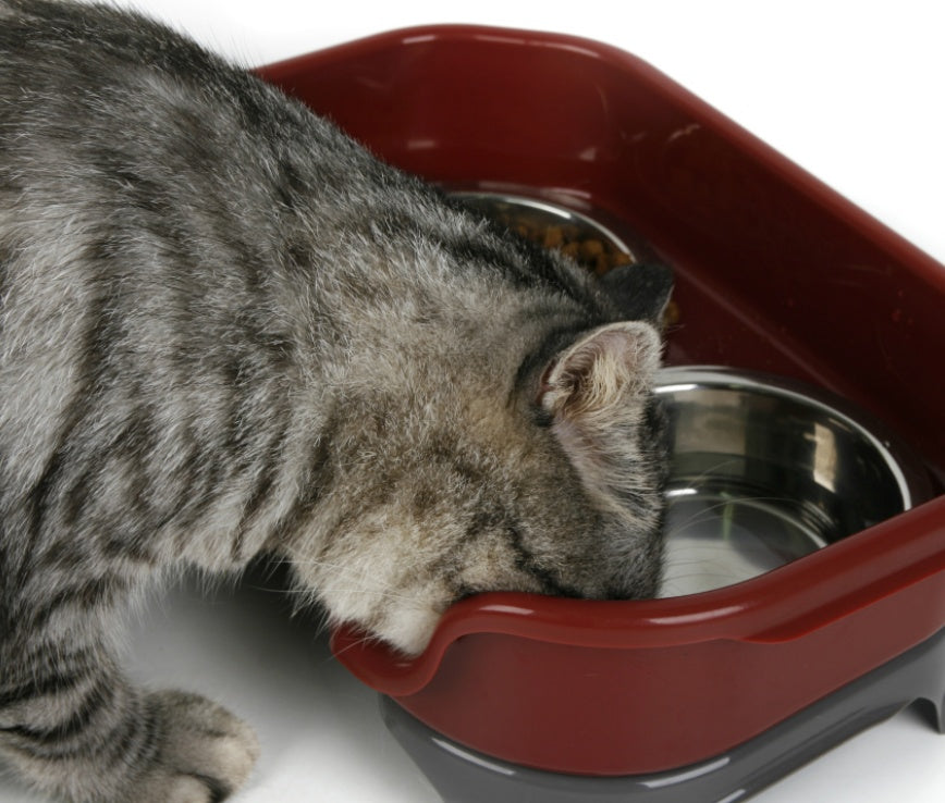Dog or Cat bowl double basin splash-proof