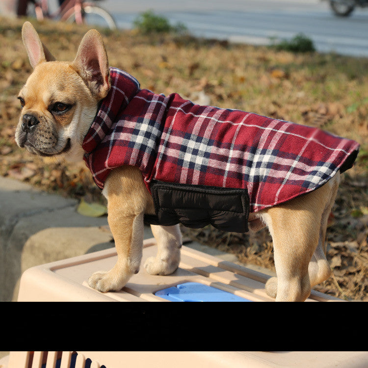 Pet Vest