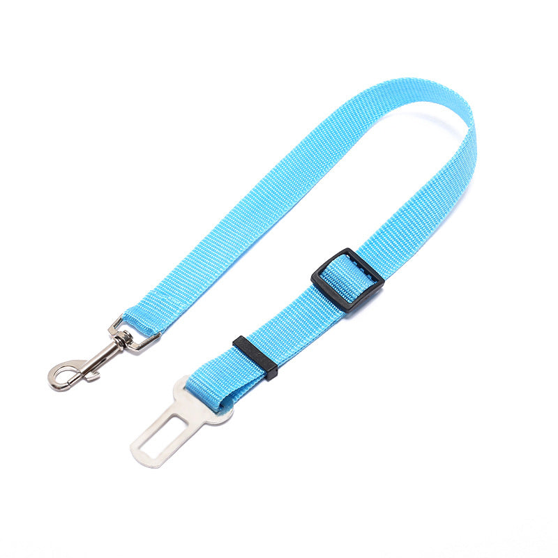 Polyester Fixed Strap for Vehicle