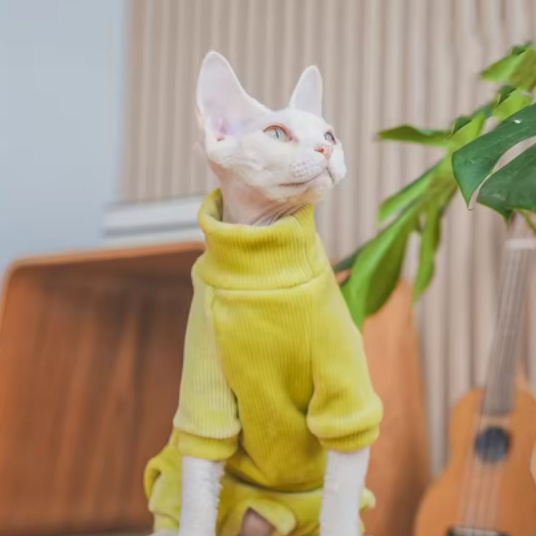 Fleece cloth-lined good for Hairless Devon Cats