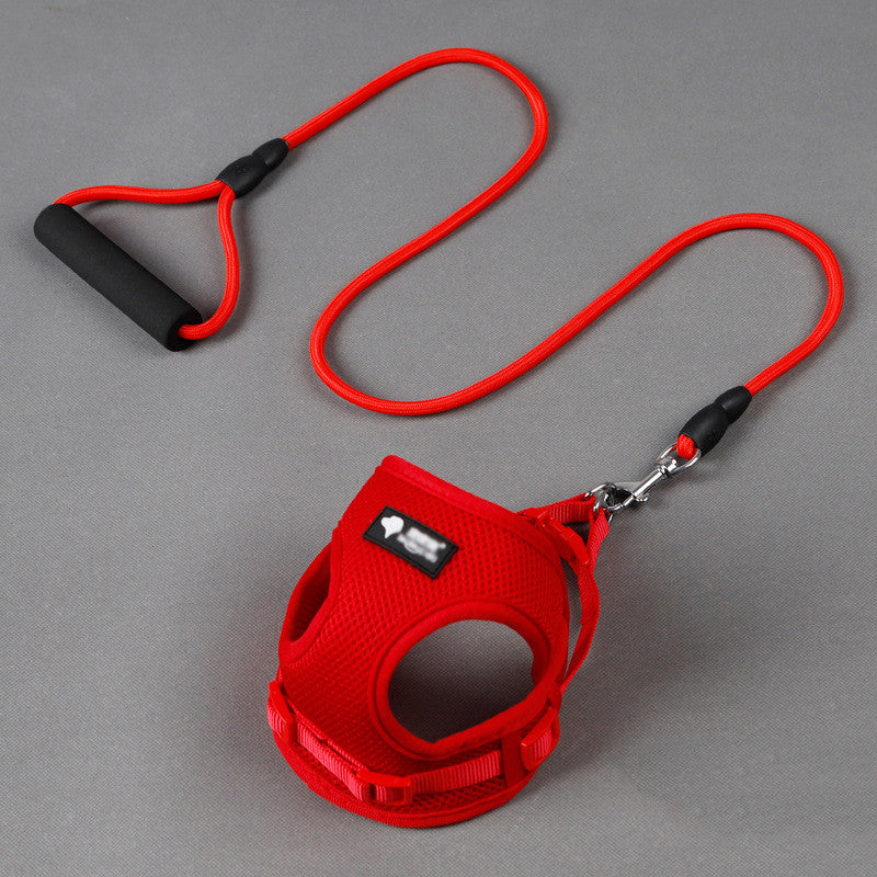 Small Dog Harness