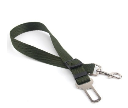 Polyester Fixed Strap for Vehicle