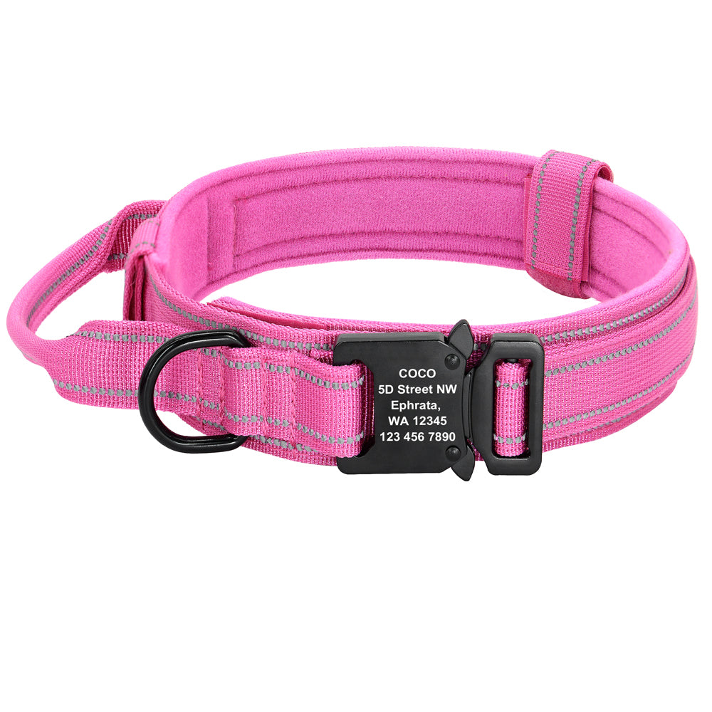 Dog Collars