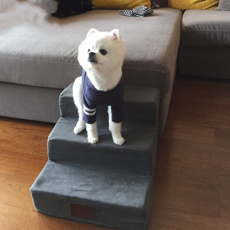 Dog Climbing Stairs for Bed or Couch