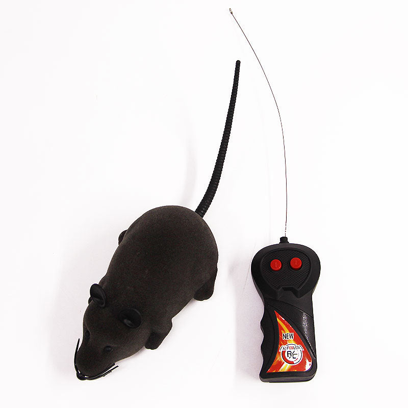 Cat Toy Remote