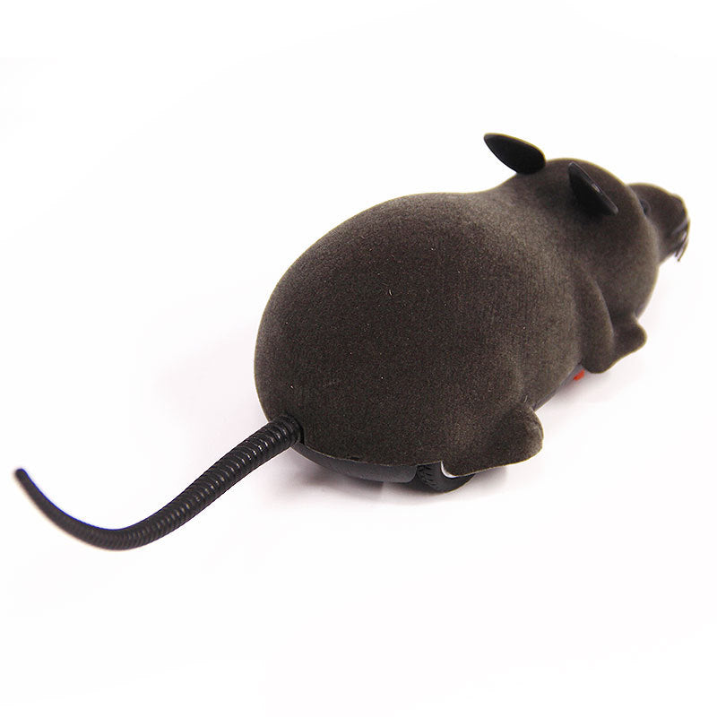 Cat Toy Remote